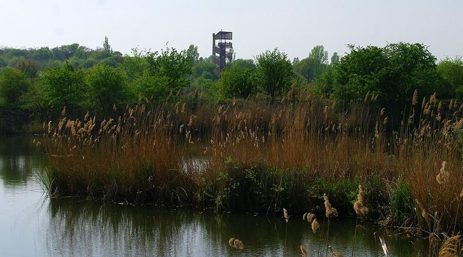 Wieża z daleka - Szachty