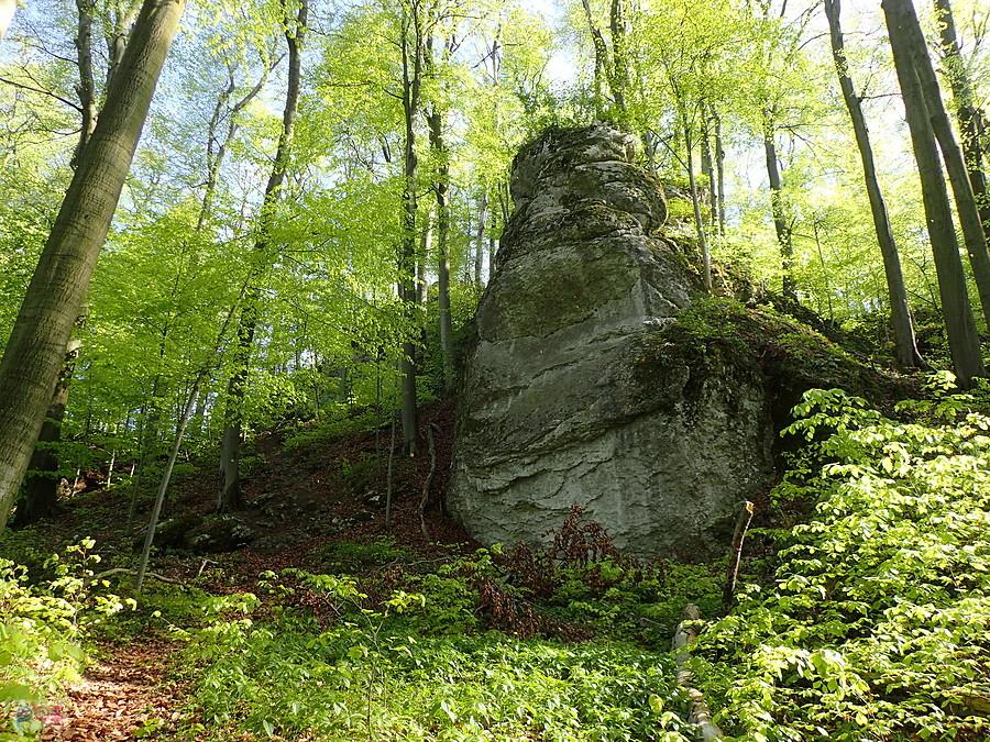 Skała na Puchaczu