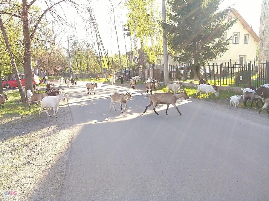 Jelenia Góra, ul. Warszawska :)
