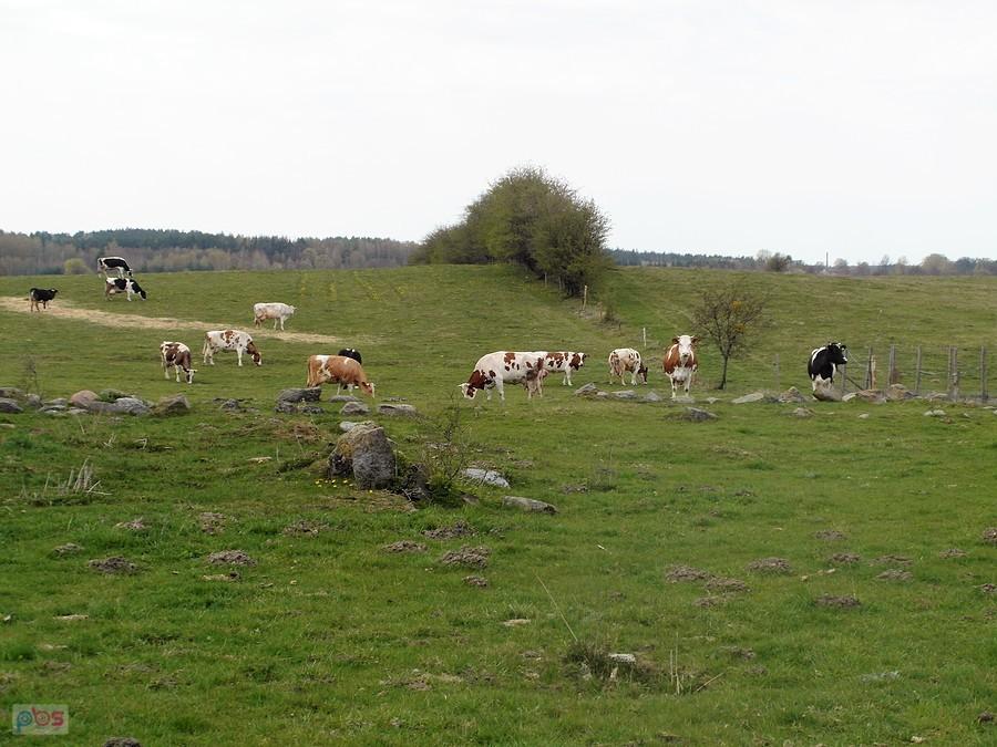 Mazurskie widoczki