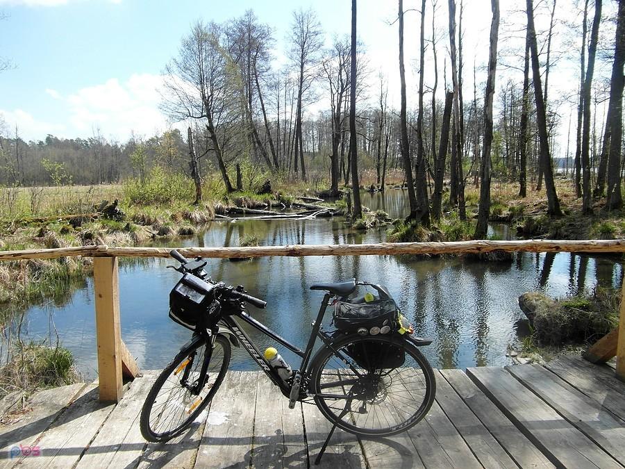Rower trekkingowy z sakwami na drewnianym pomoście nad wodą