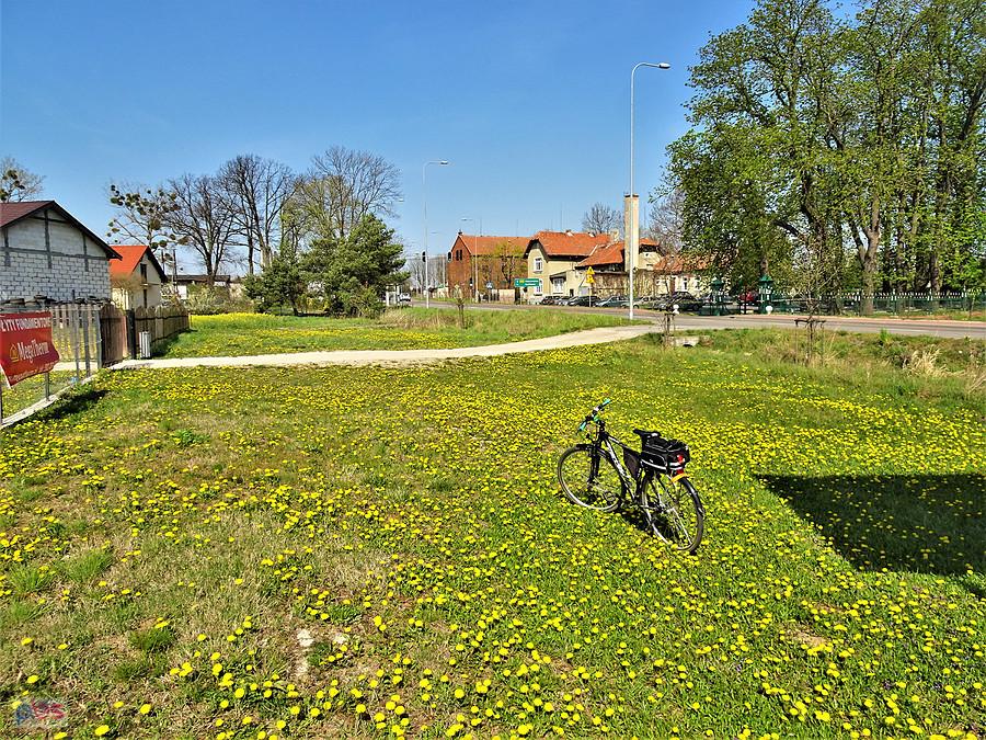 Wiosna na rowerze - Kociewie.