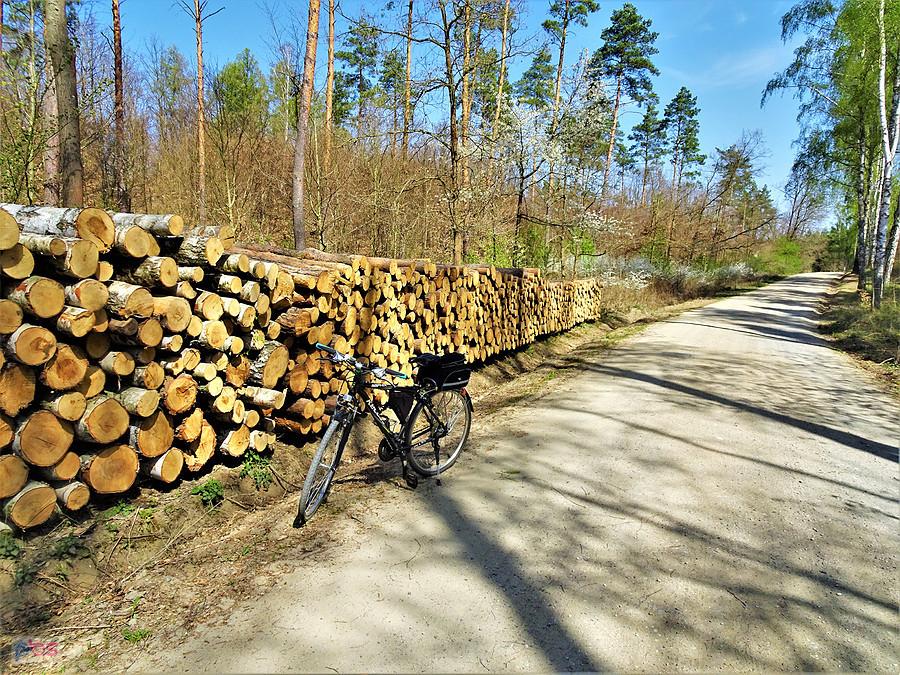 Wiosna na rowerze - Kociewie.