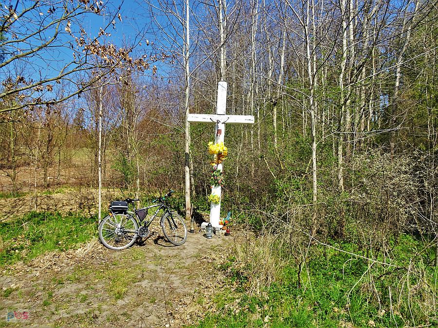 Wiosna na rowerze - Kociewie.