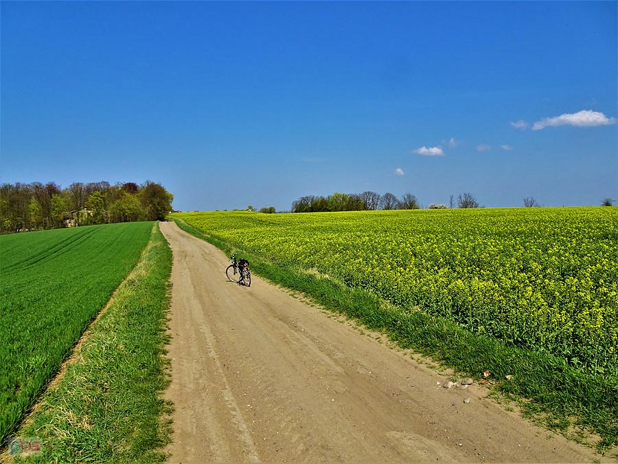 Wiosna na rowerze - Kociewie.