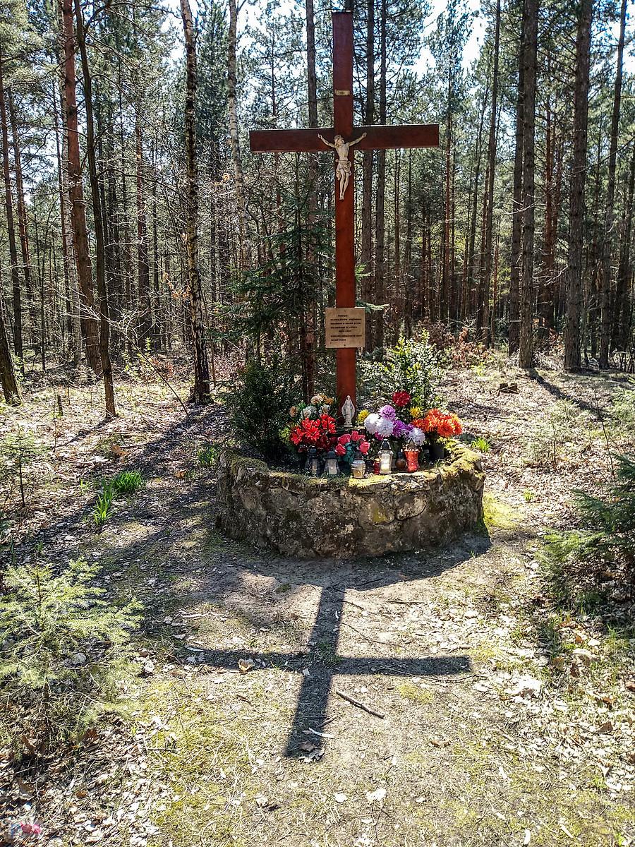 Krzyż Choleryczny