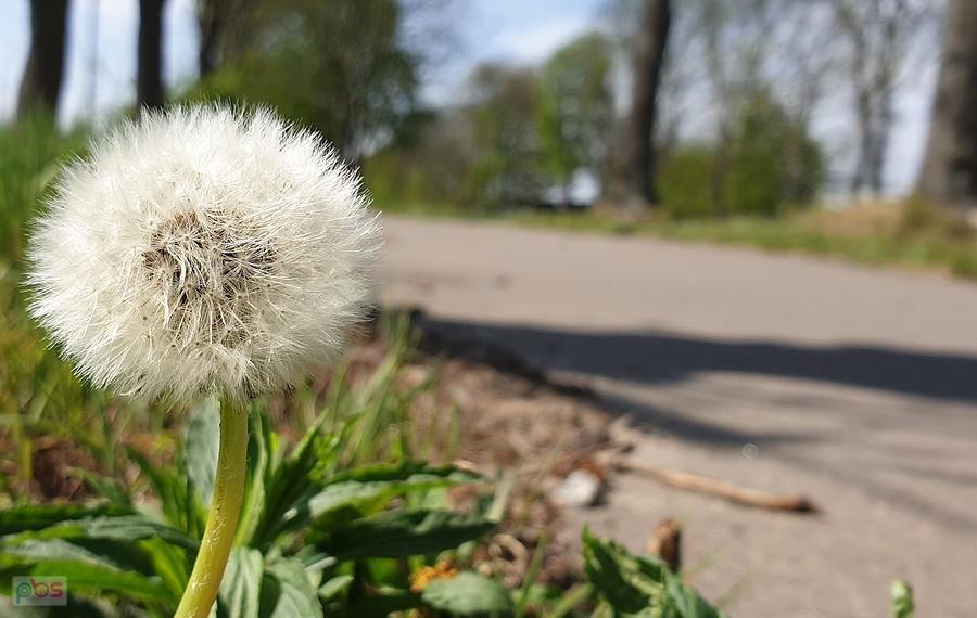DDR-ką do Motańca