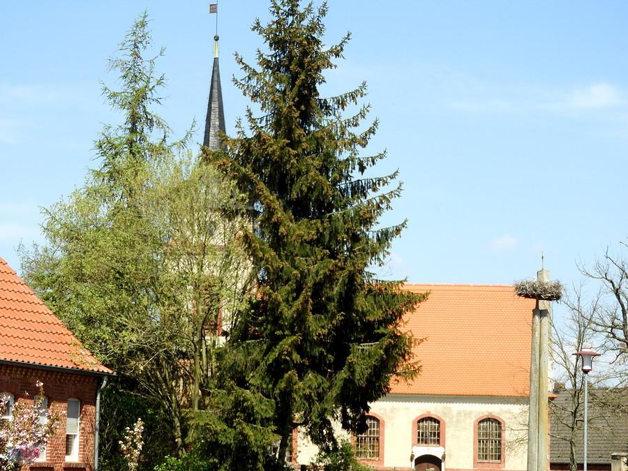 Obrazek z Mewegen - jest kościół ale i gniazdo bocianie.