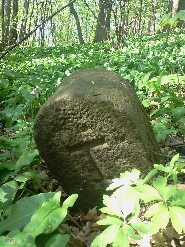 Kamień graniczny Cieszyna (T-Teschen)