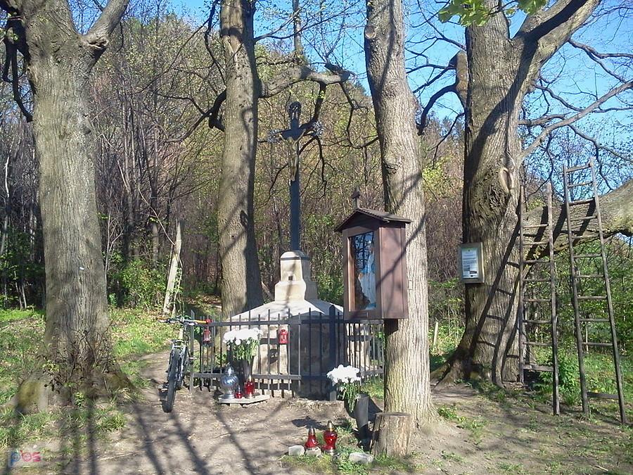 Na przełęczy pod Wróżną