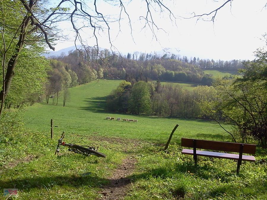 Jahodna