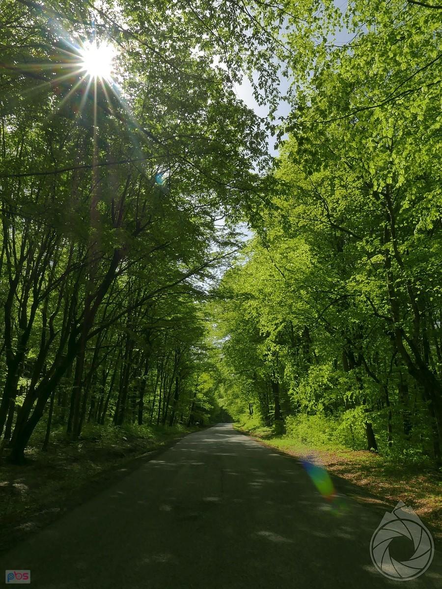podjazd na przełęcz nad Hollohazą na granicy SK-HUN