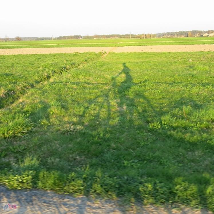 Cień Bociana