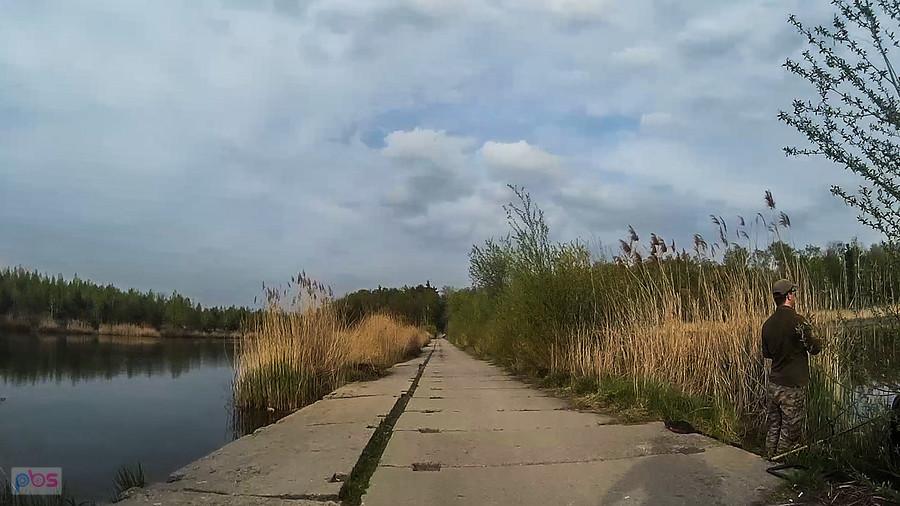 Pomiędzy stawami Makoszowskimi