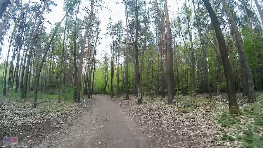 Lubię takie ścieżki