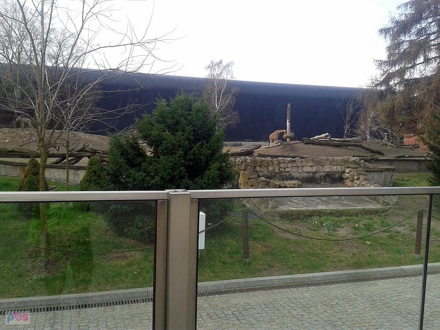 Zoo też zaliczone