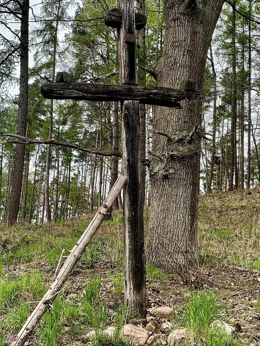 bardzo ciekawy krzyż nad jeziorem lubiszewskim znalazł Tomek