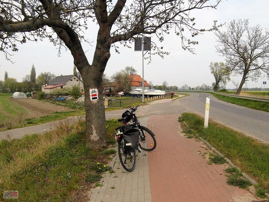Żuławy gdańskie