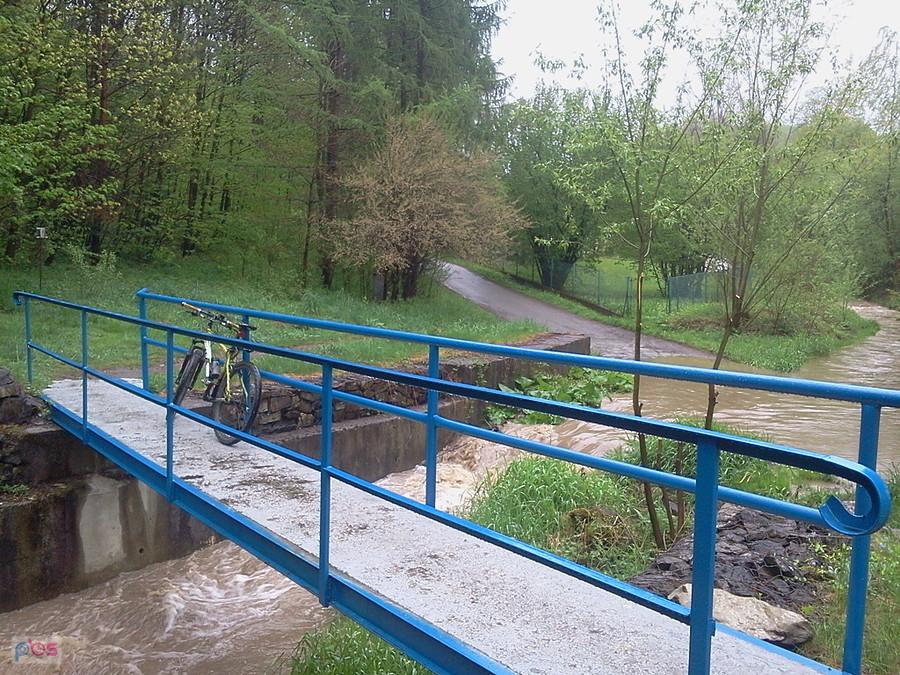 Dzięgielów