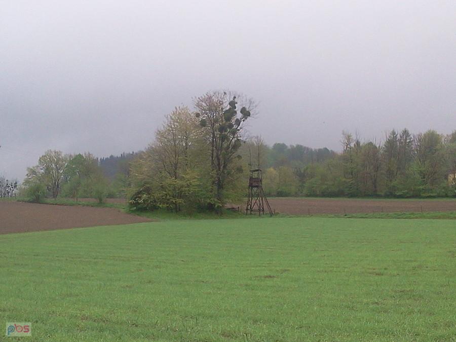 Jedna z Łopuk
