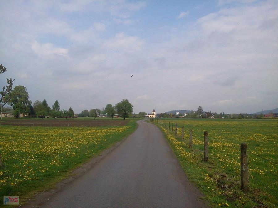Bładnice