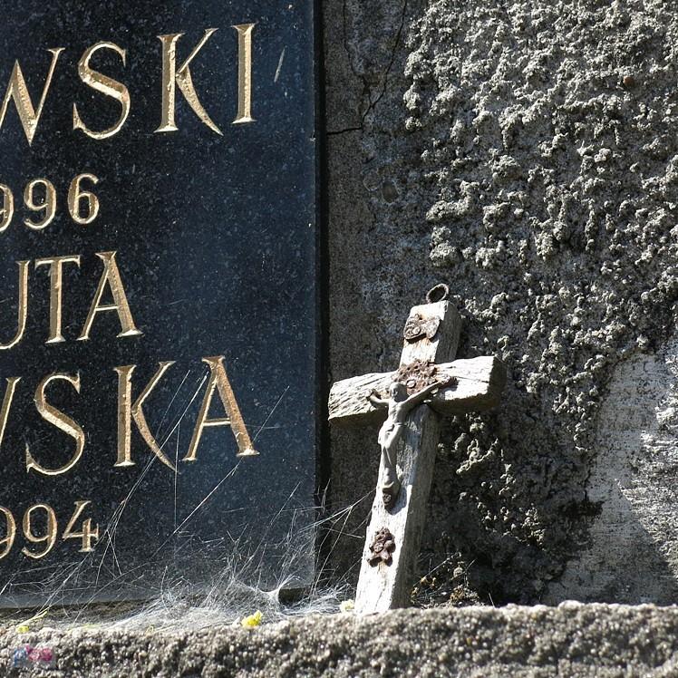 Czaszka na cmentarzu na Salwatorze