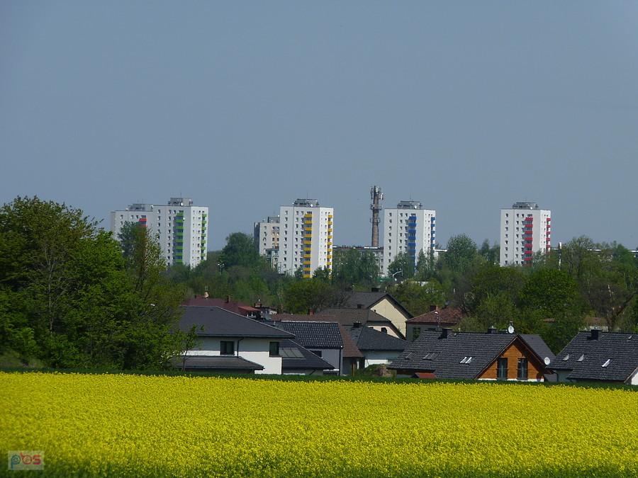 tarnogórski Manhattan