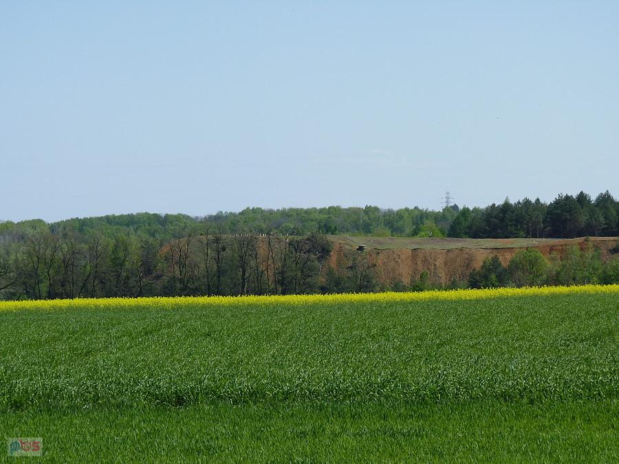 Hałda