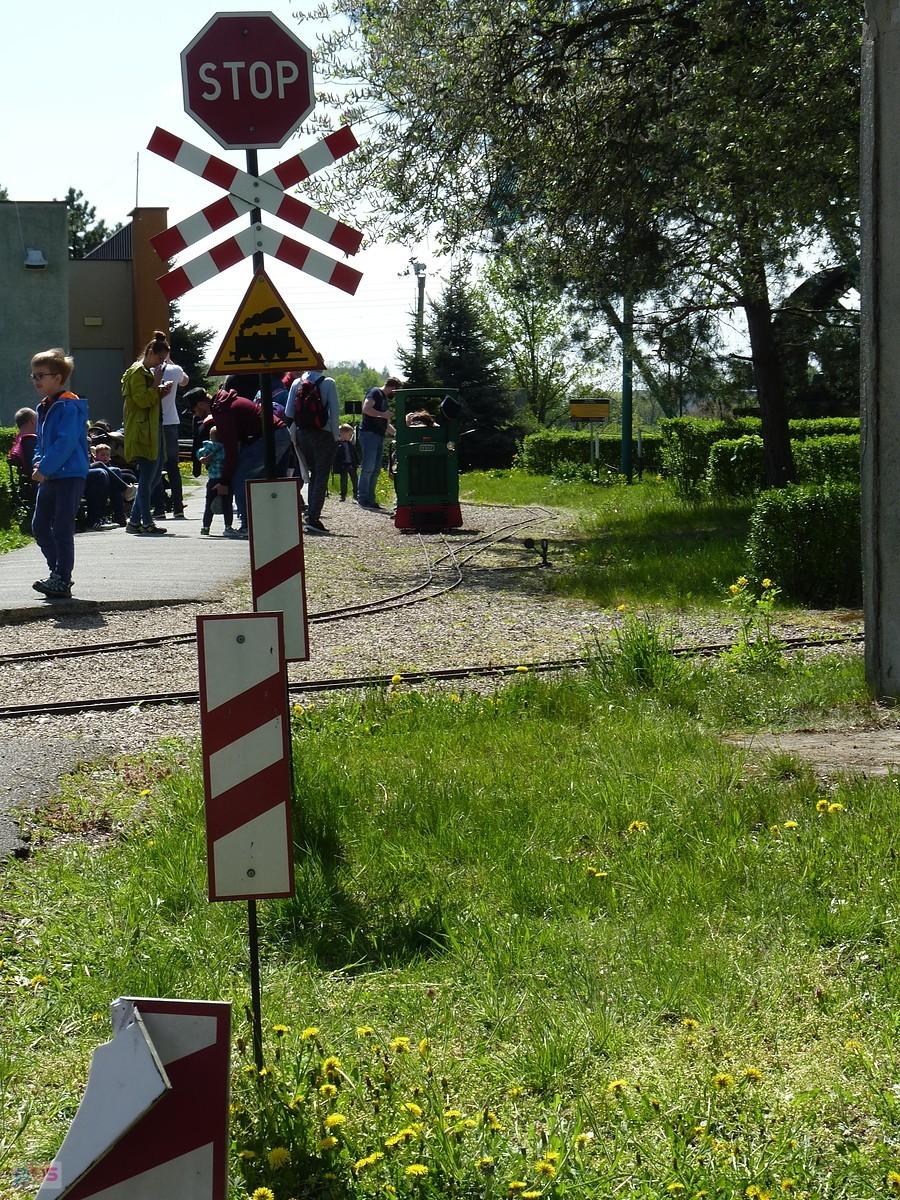 wersja mini