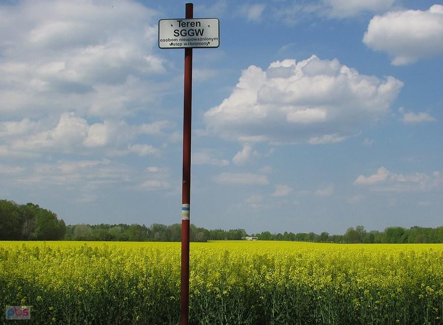 SGGW jedna z najbogatszych uczelni w Polsce