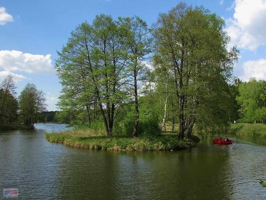 Wyspa na zachodnim krańcu stawów