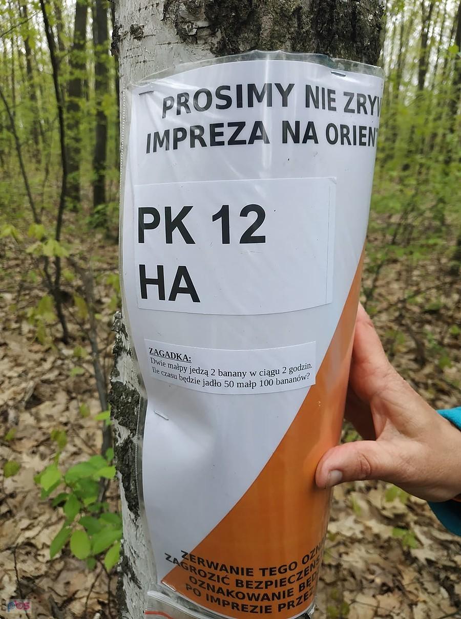 Pierwsza zagadka