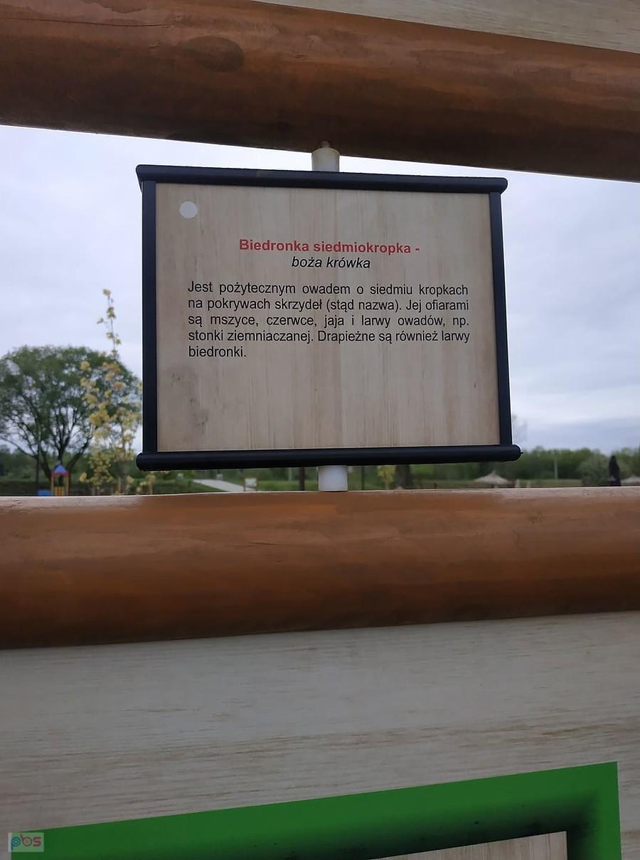 Trochę ciekawostek