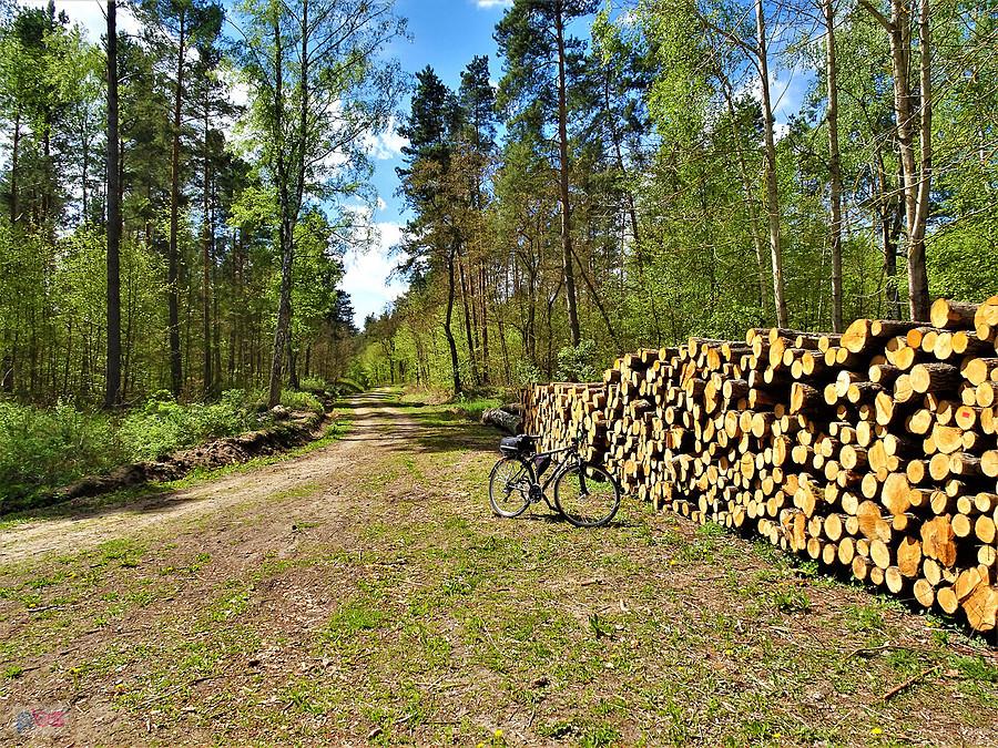 Rowerem po Kociewiu.