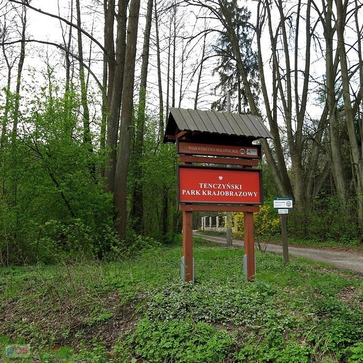 W Parku Krajobrazowym