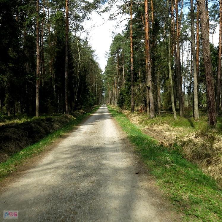 W stronę Jaworzna