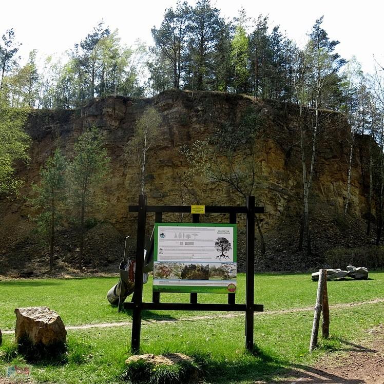 W Parku Gródek w Jaworznie