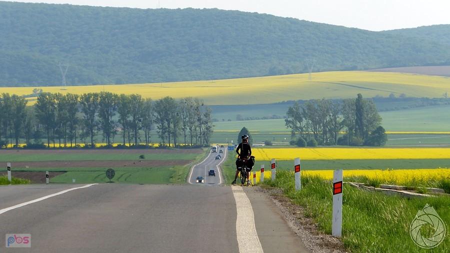 na widokowej hopce wśród pól