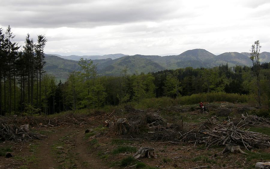 Typowo MTB-owski widoczek