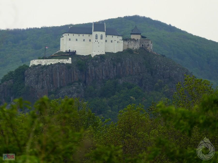 Fuzeri var zza krzaków