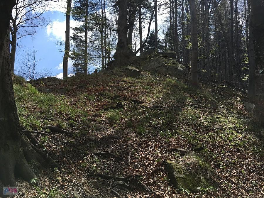 Malinowa perć