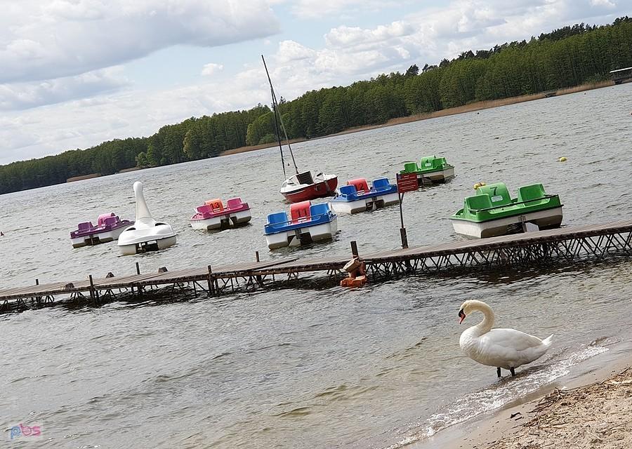 Jezioro Miedwie w Morzyczynie