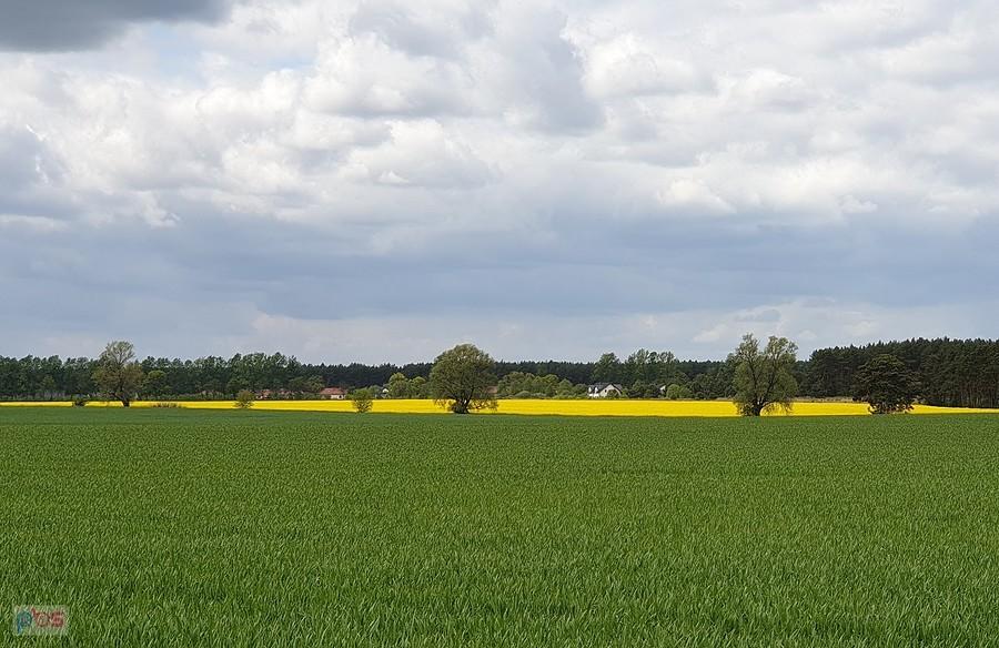Okolice Bielkowa