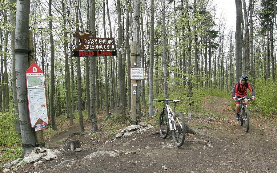 Początek długiego singletracka - frajda z jazdy tędy była