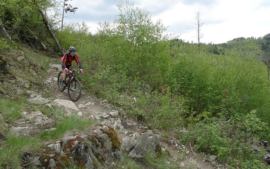 Pure MTB wokół Twierdzy Srebrnogórskiej