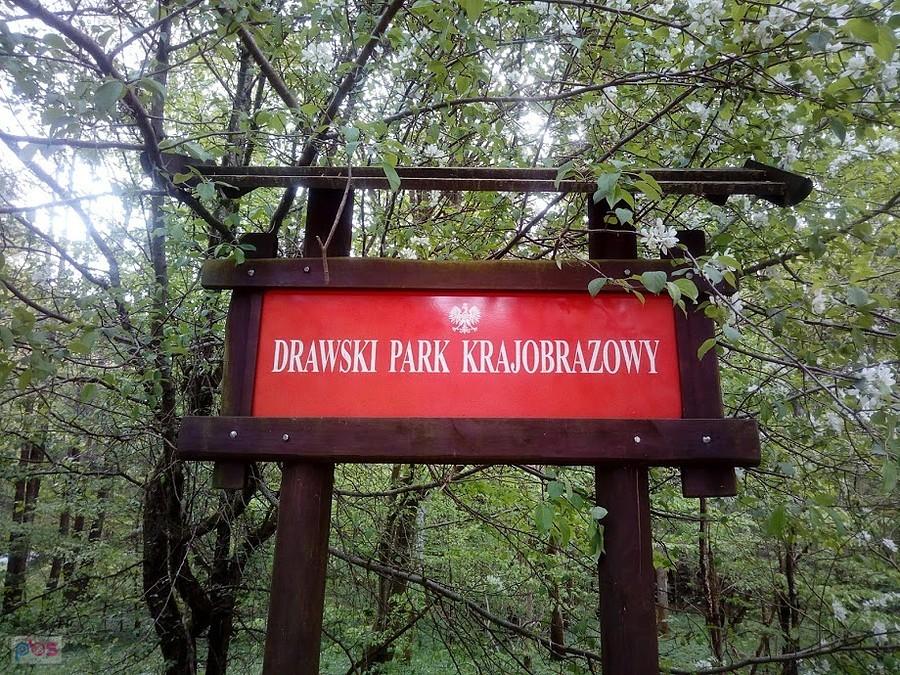 Kierunek Stare Drawsko