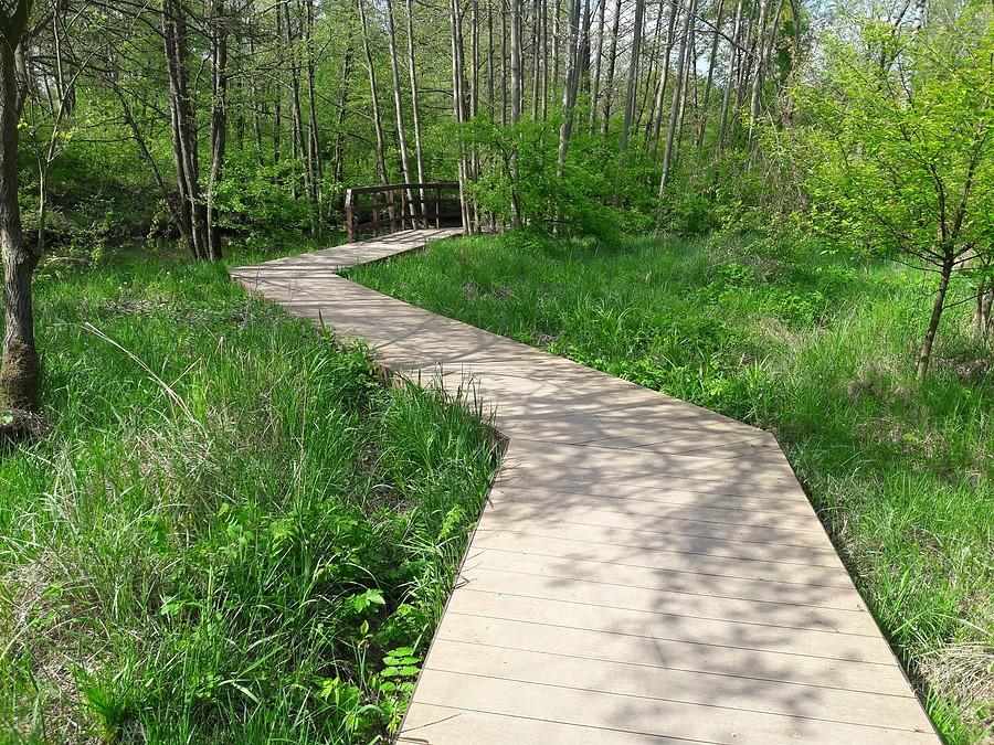 Park Lisiniec I.