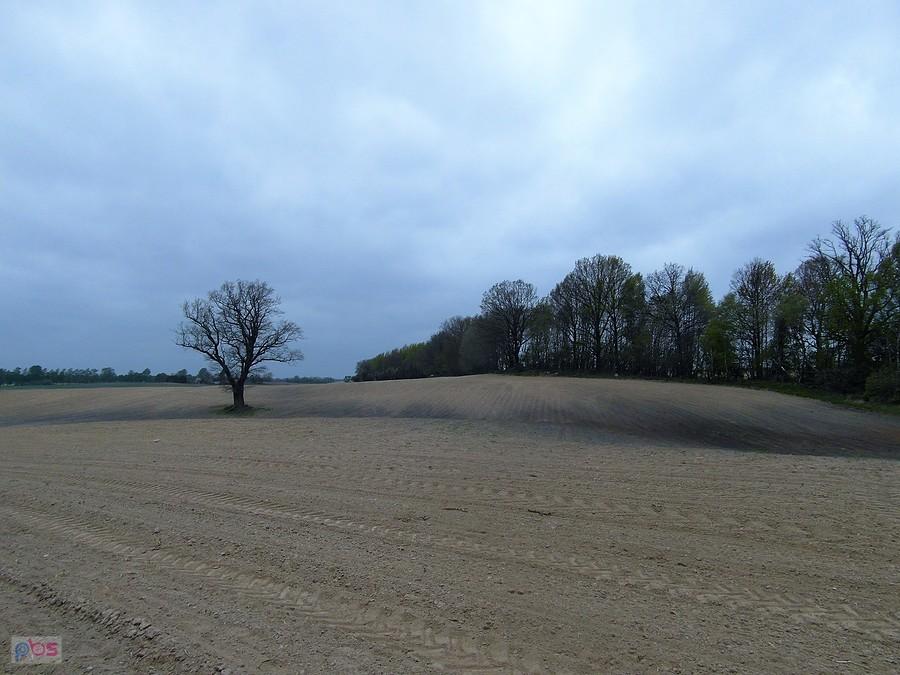 Kierunek Świdwin