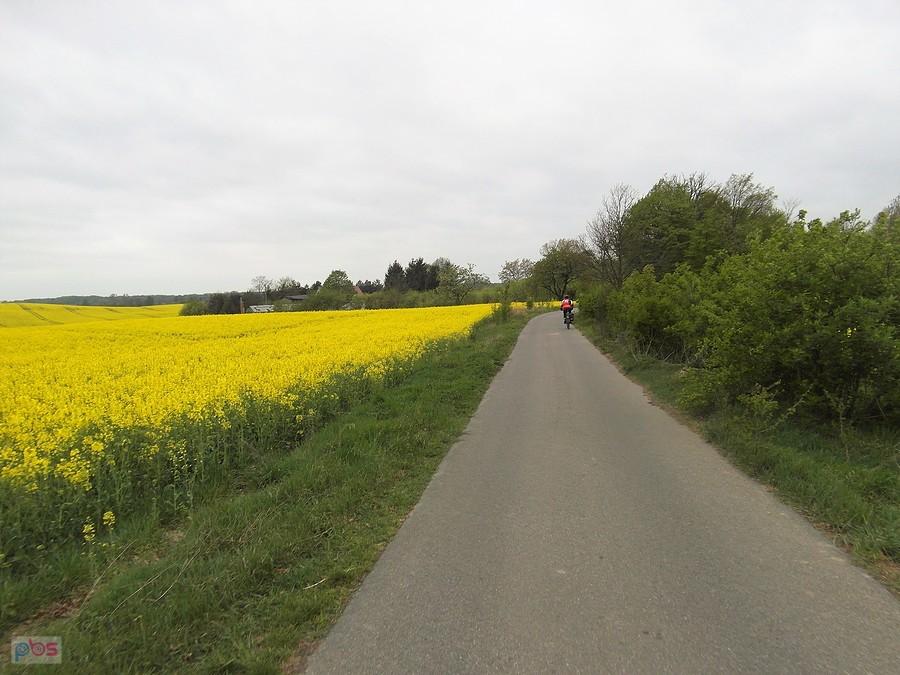 Kierunek Świdwin