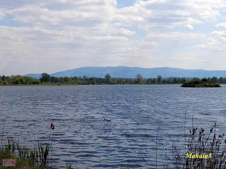 Widok na Beskidy